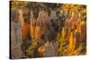 USA, Utah, Bryce Canyon National Park. Canyon overview.-Jaynes Gallery-Stretched Canvas