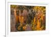 USA, Utah, Bryce Canyon National Park. Canyon overview.-Jaynes Gallery-Framed Photographic Print