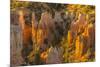 USA, Utah, Bryce Canyon National Park. Canyon overview.-Jaynes Gallery-Mounted Photographic Print