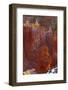 USA, Utah, Bryce Canyon National Park. Close-up of Hoodoos-Jay O'brien-Framed Photographic Print