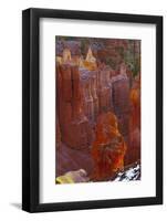 USA, Utah, Bryce Canyon National Park. Close-up of Hoodoos-Jay O'brien-Framed Photographic Print