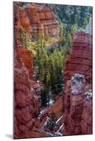 USA, Utah, Bryce Canyon National Park. Close-up of Hoodoos-Jay O'brien-Mounted Photographic Print