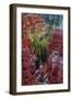 USA, Utah, Bryce Canyon National Park. Close-up of Hoodoos-Jay O'brien-Framed Photographic Print