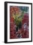 USA, Utah, Bryce Canyon National Park. Close-up of Hoodoos-Jay O'brien-Framed Photographic Print