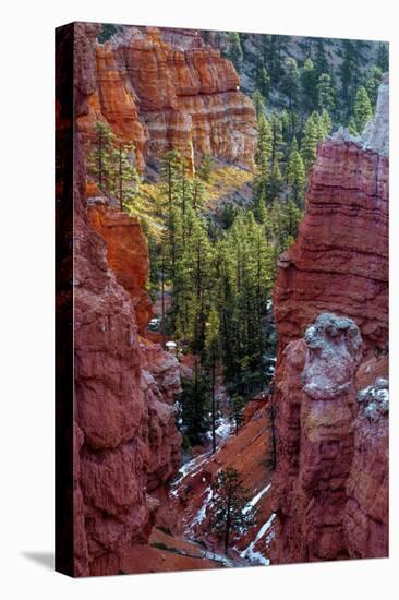 USA, Utah, Bryce Canyon National Park. Close-up of Hoodoos-Jay O'brien-Stretched Canvas