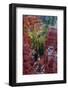 USA, Utah, Bryce Canyon National Park. Close-up of Hoodoos-Jay O'brien-Framed Photographic Print