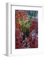 USA, Utah, Bryce Canyon National Park. Close-up of Hoodoos-Jay O'brien-Framed Photographic Print