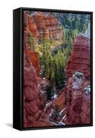 USA, Utah, Bryce Canyon National Park. Close-up of Hoodoos-Jay O'brien-Framed Stretched Canvas