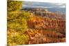 USA, Utah, Bryce Canyon National Park. Overview of canyon formations.-Jaynes Gallery-Mounted Photographic Print