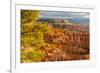 USA, Utah, Bryce Canyon National Park. Overview of canyon formations.-Jaynes Gallery-Framed Premium Photographic Print