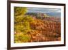 USA, Utah, Bryce Canyon National Park. Overview of canyon formations.-Jaynes Gallery-Framed Premium Photographic Print