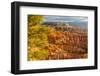 USA, Utah, Bryce Canyon National Park. Overview of canyon formations.-Jaynes Gallery-Framed Photographic Print