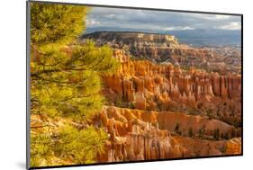 USA, Utah, Bryce Canyon National Park. Overview of canyon formations.-Jaynes Gallery-Mounted Photographic Print