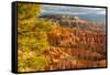 USA, Utah, Bryce Canyon National Park. Overview of canyon formations.-Jaynes Gallery-Framed Stretched Canvas