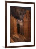 USA, Utah, Bryce Canyon National Park. Sunrise glow on hoodoos.-Jaynes Gallery-Framed Photographic Print