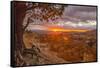 USA, Utah, Bryce Canyon National Park. Sunrise on canyon.-Jaynes Gallery-Framed Stretched Canvas