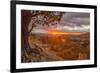 USA, Utah, Bryce Canyon National Park. Sunrise on canyon.-Jaynes Gallery-Framed Photographic Print