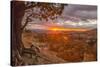 USA, Utah, Bryce Canyon National Park. Sunrise on canyon.-Jaynes Gallery-Stretched Canvas