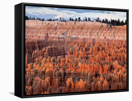 USA, Utah, Bryce Canyon National Park. Sunrise Touches Hoodoos at Sunset Point-Ann Collins-Framed Stretched Canvas
