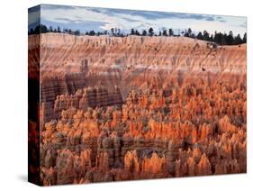USA, Utah, Bryce Canyon National Park. Sunrise Touches Hoodoos at Sunset Point-Ann Collins-Stretched Canvas