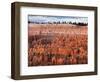 USA, Utah, Bryce Canyon National Park. Sunrise Touches Hoodoos at Sunset Point-Ann Collins-Framed Photographic Print