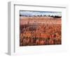 USA, Utah, Bryce Canyon National Park. Sunrise Touches Hoodoos at Sunset Point-Ann Collins-Framed Photographic Print