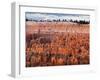 USA, Utah, Bryce Canyon National Park. Sunrise Touches Hoodoos at Sunset Point-Ann Collins-Framed Photographic Print