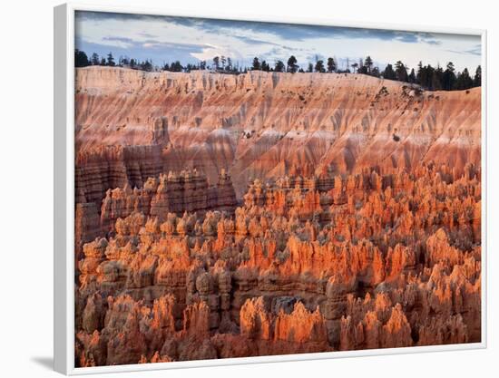 USA, Utah, Bryce Canyon National Park. Sunrise Touches Hoodoos at Sunset Point-Ann Collins-Framed Photographic Print