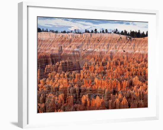 USA, Utah, Bryce Canyon National Park. Sunrise Touches Hoodoos at Sunset Point-Ann Collins-Framed Photographic Print