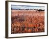 USA, Utah, Bryce Canyon National Park. Sunrise Touches Hoodoos at Sunset Point-Ann Collins-Framed Photographic Print