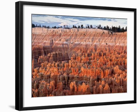 USA, Utah, Bryce Canyon National Park. Sunrise Touches Hoodoos at Sunset Point-Ann Collins-Framed Photographic Print