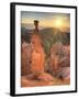 USA, Utah, Bryce Canyon National Park, Thor's Hammer-Michele Falzone-Framed Photographic Print