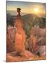 USA, Utah, Bryce Canyon National Park, Thor's Hammer-Michele Falzone-Mounted Photographic Print