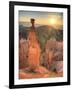 USA, Utah, Bryce Canyon National Park, Thor's Hammer-Michele Falzone-Framed Photographic Print