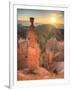 USA, Utah, Bryce Canyon National Park, Thor's Hammer-Michele Falzone-Framed Photographic Print