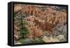 USA, Utah, Bryce Canyon National Park. View from Rainbow Point-Charles Crust-Framed Stretched Canvas