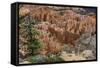 USA, Utah, Bryce Canyon National Park. View from Rainbow Point-Charles Crust-Framed Stretched Canvas