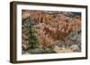 USA, Utah, Bryce Canyon National Park. View from Rainbow Point-Charles Crust-Framed Photographic Print