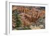 USA, Utah, Bryce Canyon National Park. View from Rainbow Point-Charles Crust-Framed Photographic Print