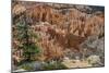 USA, Utah, Bryce Canyon National Park. View from Rainbow Point-Charles Crust-Mounted Photographic Print