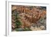 USA, Utah, Bryce Canyon National Park. View from Rainbow Point-Charles Crust-Framed Photographic Print
