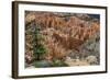 USA, Utah, Bryce Canyon National Park. View from Rainbow Point-Charles Crust-Framed Photographic Print