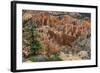 USA, Utah, Bryce Canyon National Park. View from Rainbow Point-Charles Crust-Framed Photographic Print