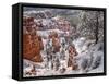 USA, Utah, Bryce Canyon National Park, Winter morning near Sunrise Point after fresh snowfall-Ann Collins-Framed Stretched Canvas