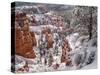 USA, Utah, Bryce Canyon National Park, Winter morning near Sunrise Point after fresh snowfall-Ann Collins-Stretched Canvas