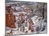 USA, Utah, Bryce Canyon National Park, Winter morning near Sunrise Point after fresh snowfall-Ann Collins-Mounted Photographic Print