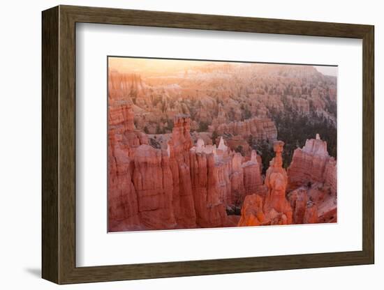 USA, Utah, Bryce Canyon, Thor's Hammer, Sunrise-Catharina Lux-Framed Photographic Print