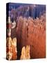 USA, Utah, Bryce Canyon-Hans Peter Merten-Stretched Canvas