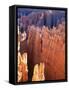 USA, Utah, Bryce Canyon-Hans Peter Merten-Framed Stretched Canvas