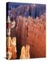 USA, Utah, Bryce Canyon-Hans Peter Merten-Stretched Canvas